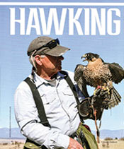 Hawking Colorado Outdoors (May/Jun 2024)