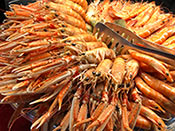 LISA'S FOOD PHOTO GARNERS GOLD IN THE 2025 SATW MUSTER AWARDS